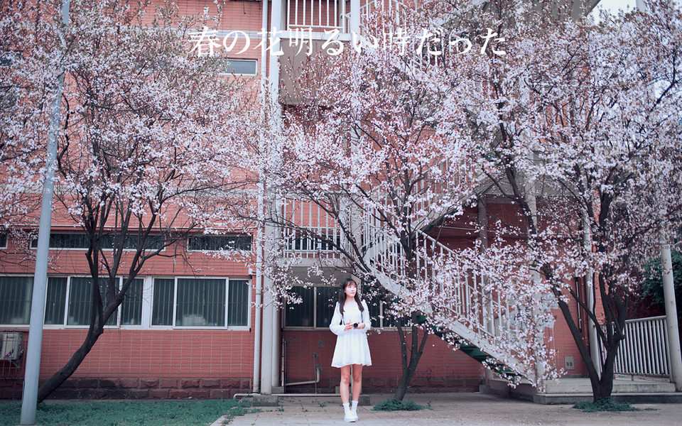 摄影有必要买很多器材吗,摄影师都需要什么器材