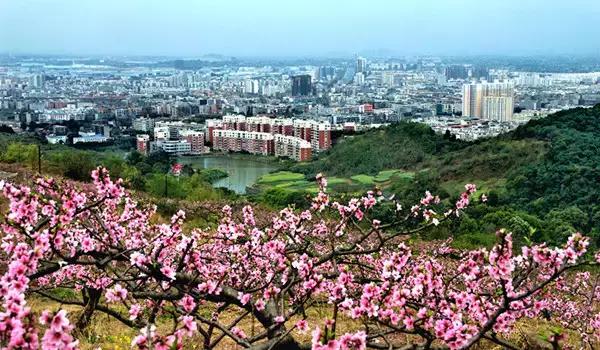 龙泉驿原来是个什么地方,龙泉驿的历史与变迁