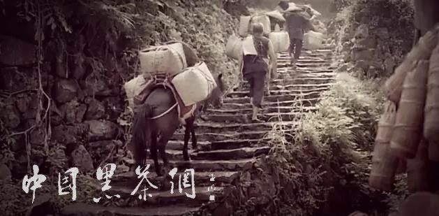 世博茶叶,中国十大世博名茶