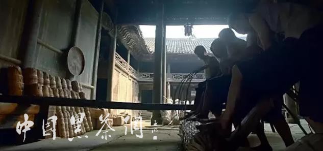 世博茶叶,中国十大世博名茶