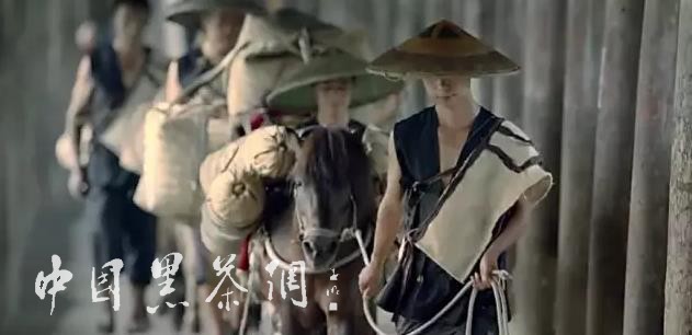 世博茶叶,中国十大世博名茶