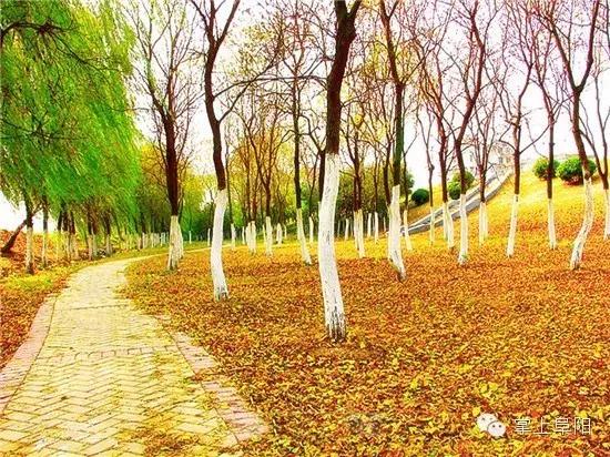 今天终于知道，阜阳的小名为什么叫“牛逼”了！