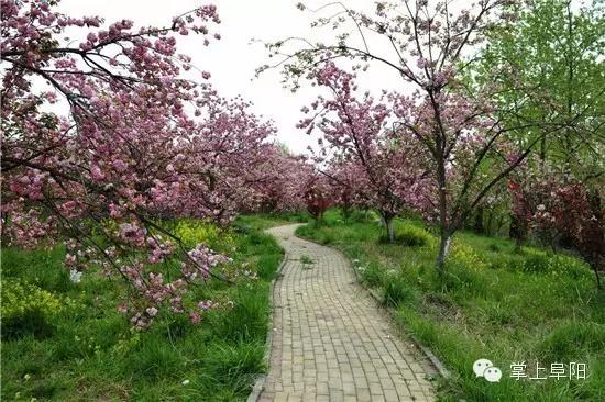 今天终于知道，阜阳的小名为什么叫“牛逼”了！