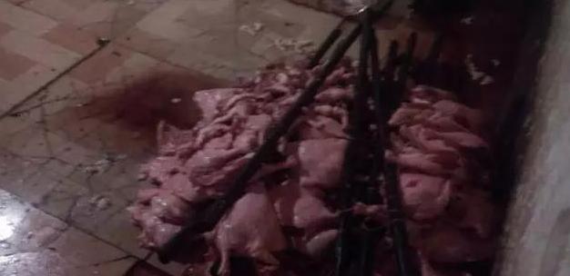 假伟哥打假,假伟哥案件