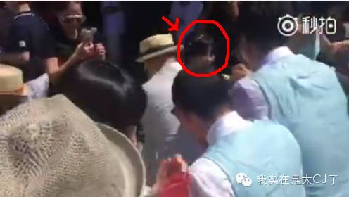 柳岩包贝尔白色礼服,柳岩包贝尔现今如何