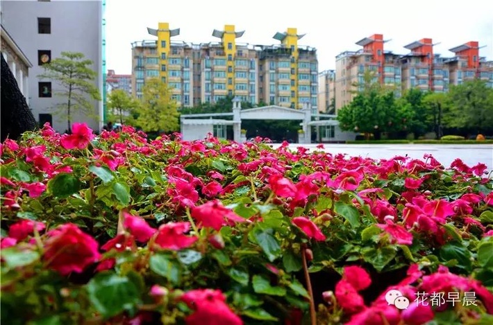 广州市花都区圆玄中学电话,广州市花都区圆玄中学