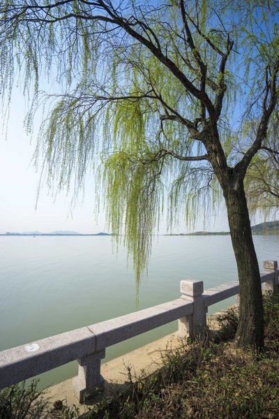 太湖舒畅之旅:乐享田园生活