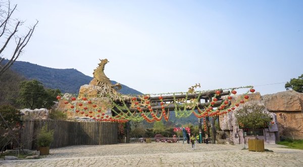 太湖舒畅之旅:乐享田园生活