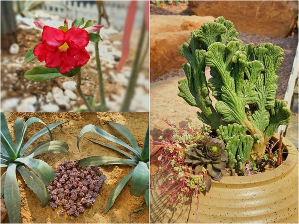 太湖舒畅之旅:乐享田园生活