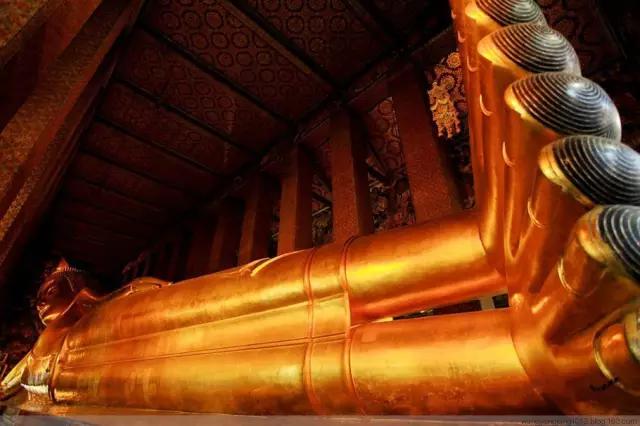 揭秘:真实的泰国人妖,昙花一现的美丽