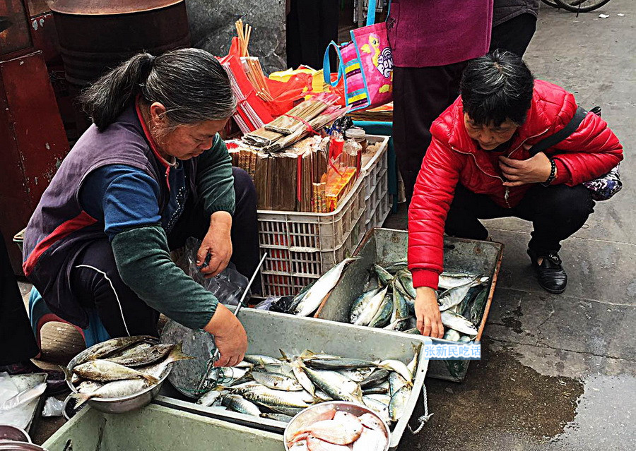 潮汕巴浪鱼和福建巴浪鱼的区别,巴浪鱼是不是淡水鱼