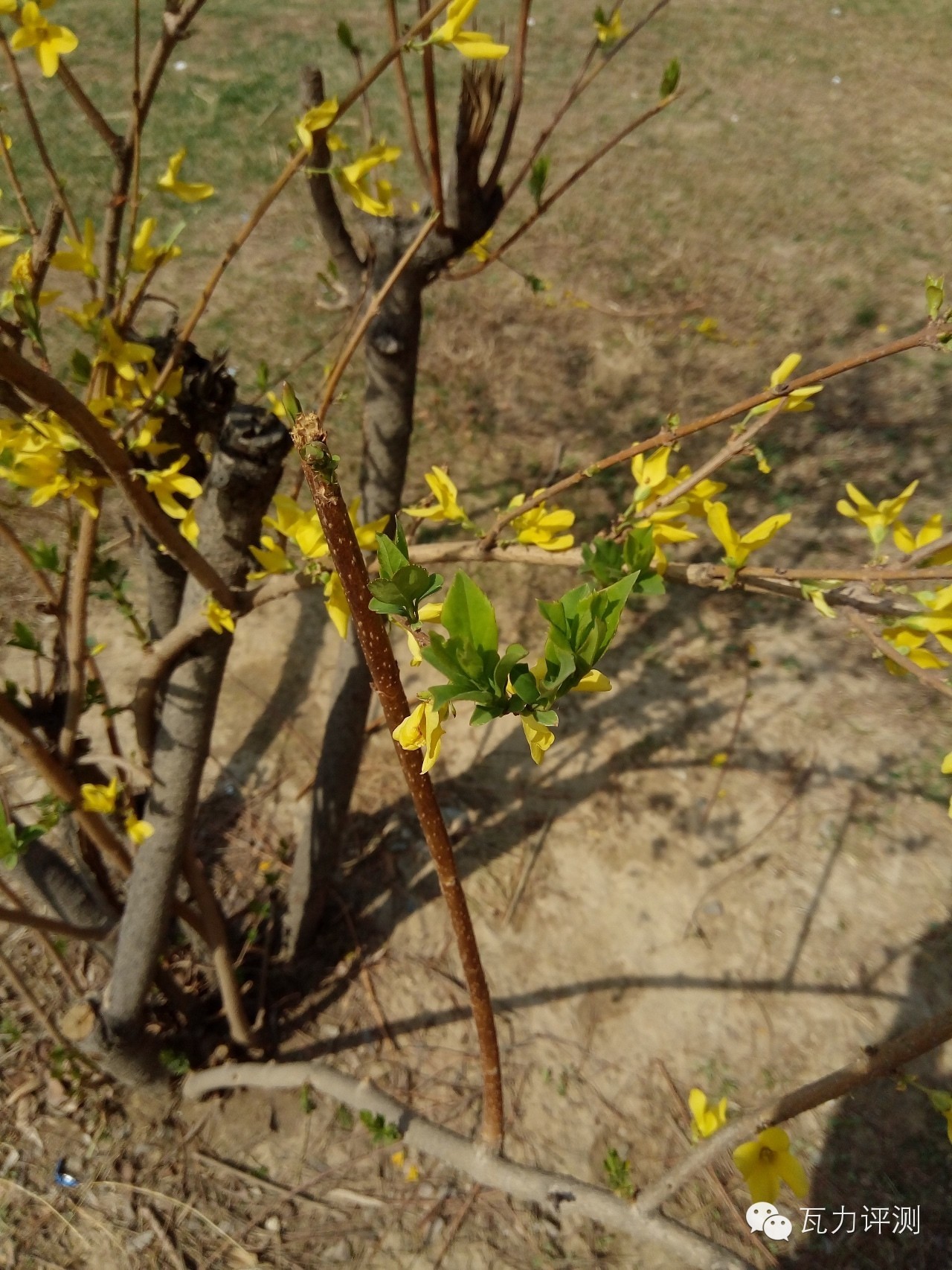 360f4手机最新评论,360f4手机的像素怎么样