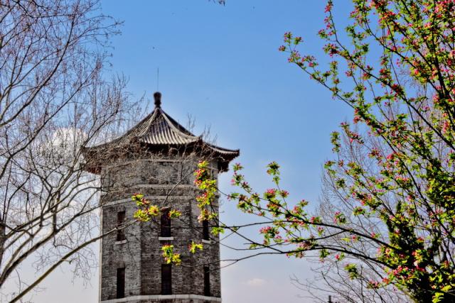 趣谈山大趵突泉校区,春风十里不如你