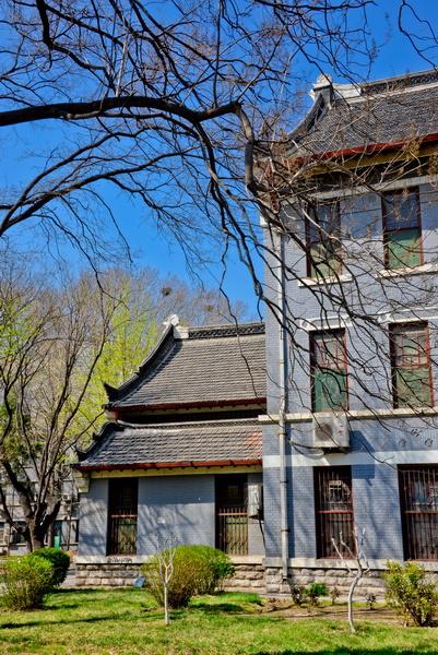 趣谈山大趵突泉校区,春风十里不如你