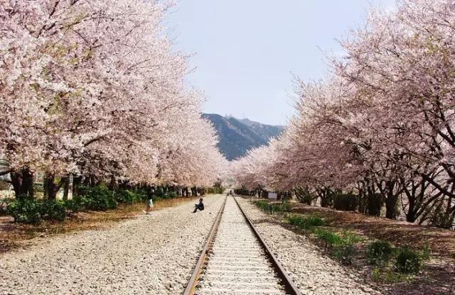 岛国购物扫盲大集合，去了日本，这些东西你一定要买！