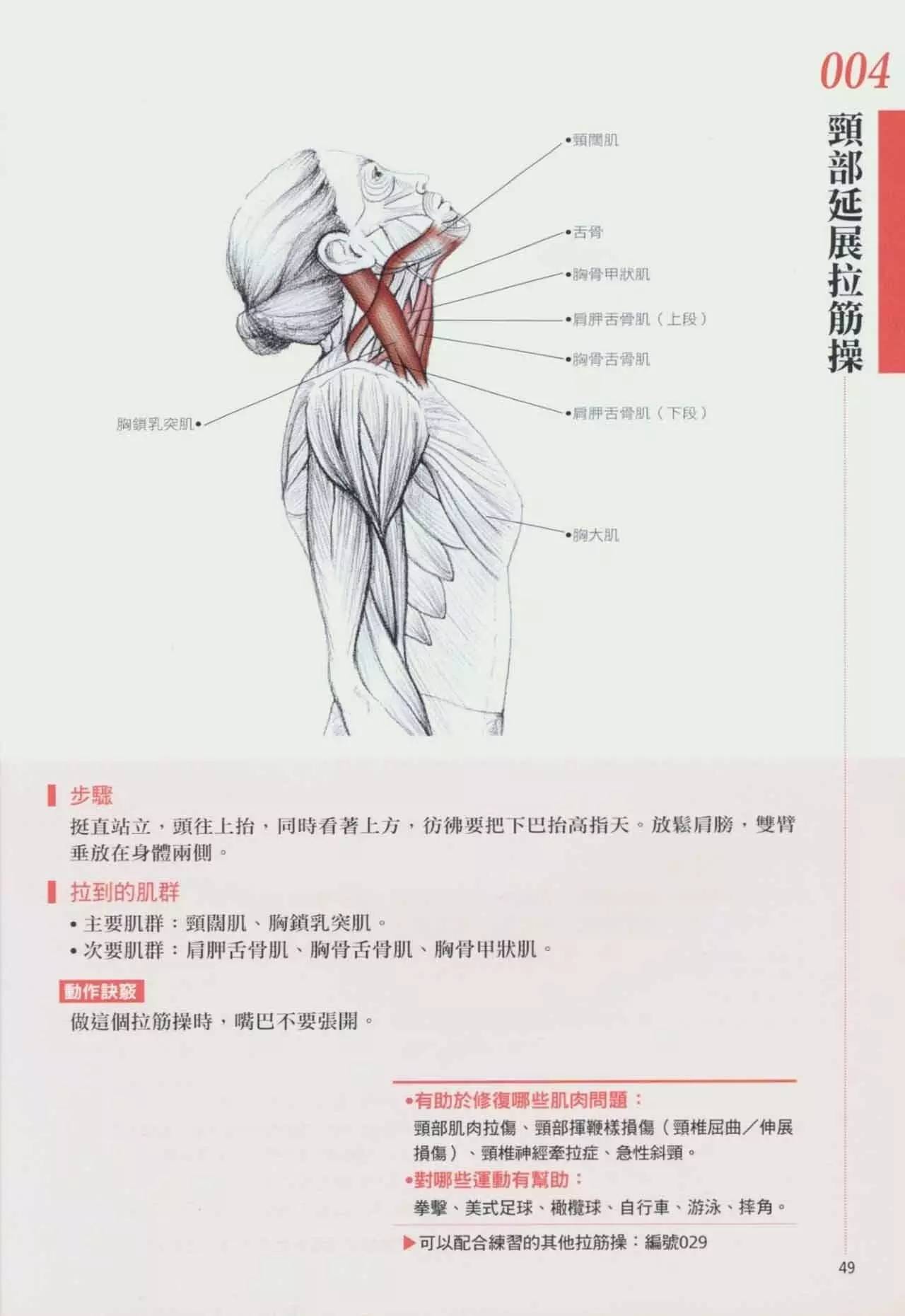 拉筋养生书,拉筋拍打书籍大全