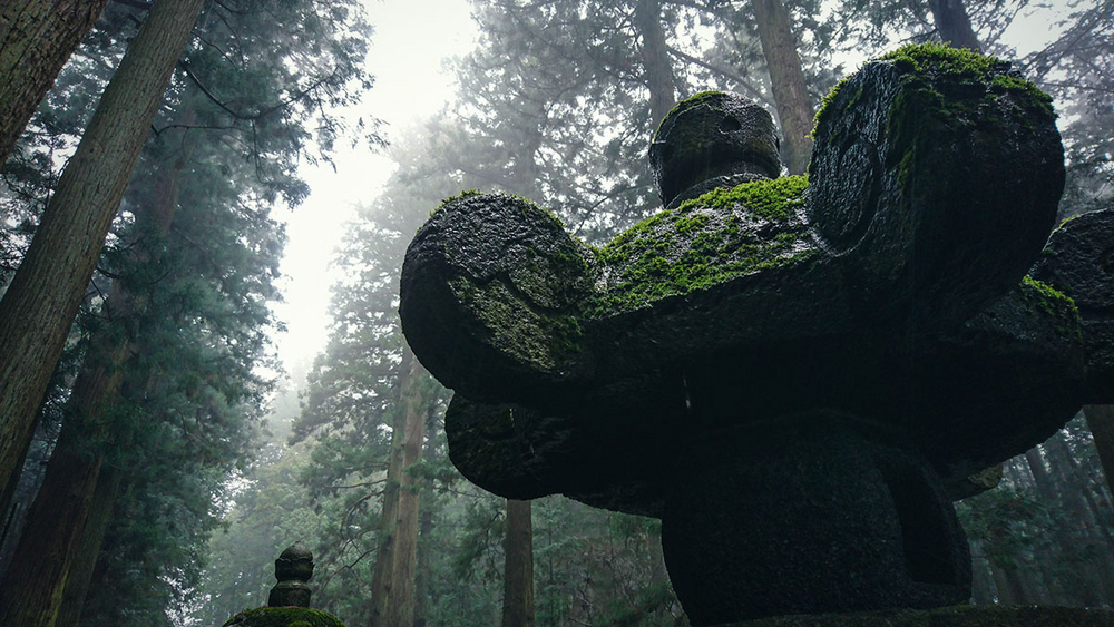 #与索尼为5#赏樱之旅之三：暴雨中方见机身防水之本色！