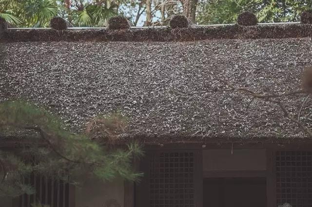 他在这里盖房子时,日本人还没学会唐风