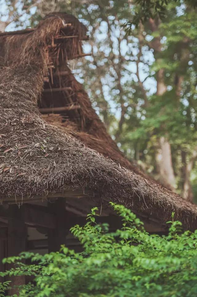 他在这里盖房子时,日本人还没学会唐风