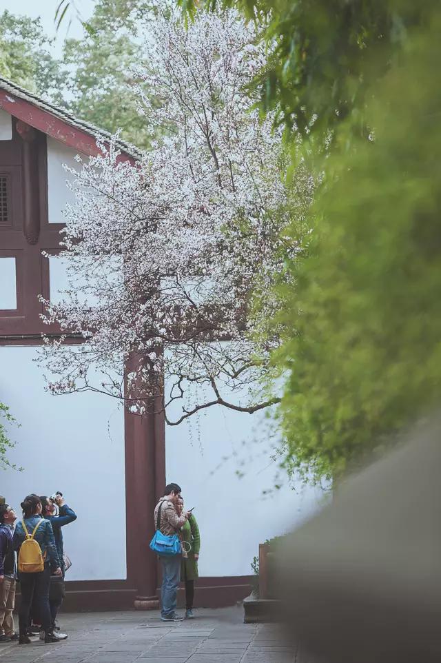 他在这里盖房子时,日本人还没学会唐风