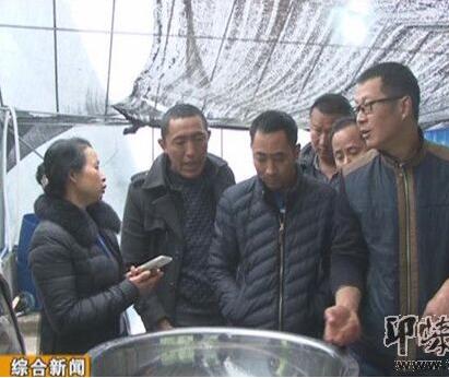 泥鳅养殖致富方法,泥鳅养殖致富新模式