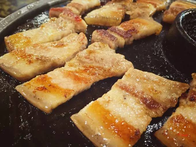 做一只治愈的猫,做一只快乐的柴犬