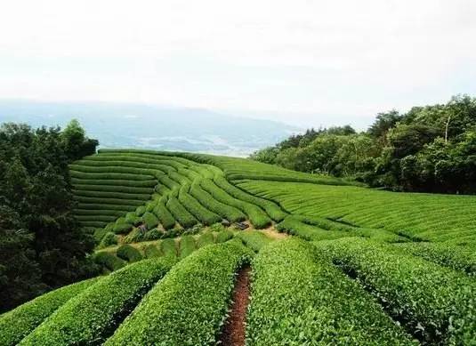 推广|她们靠瞎折腾，赢得了王子心