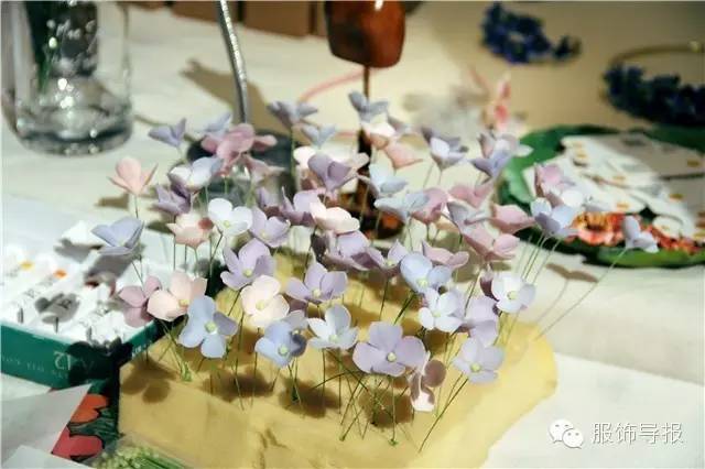 不一样，我们眼中的CHIC