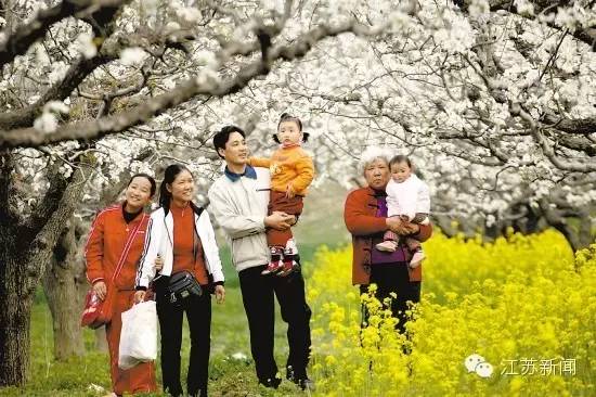 踏青被蜜蜂蜇,花海被蜜蜂蜇了