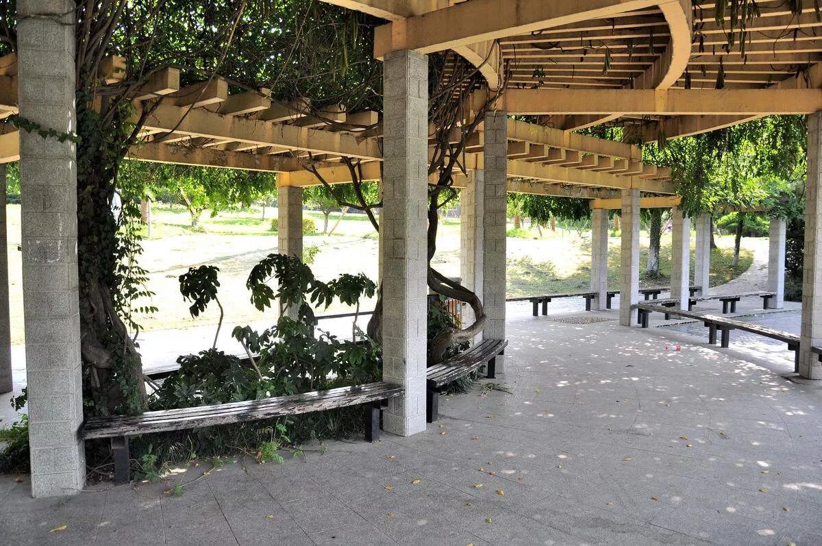 为什么中国科技大学被称为最好的大学？