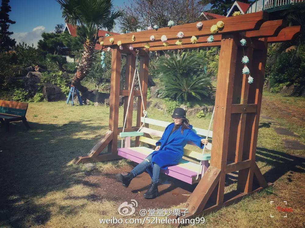 做一只治愈的猫,做一只快乐的柴犬