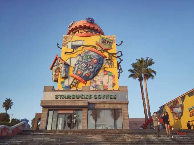 做一只治愈的猫,做一只快乐的柴犬