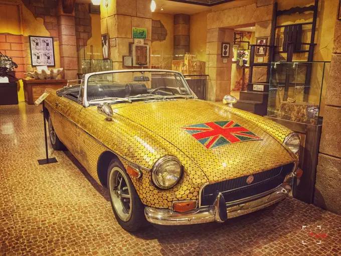 做一只治愈的猫,做一只快乐的柴犬