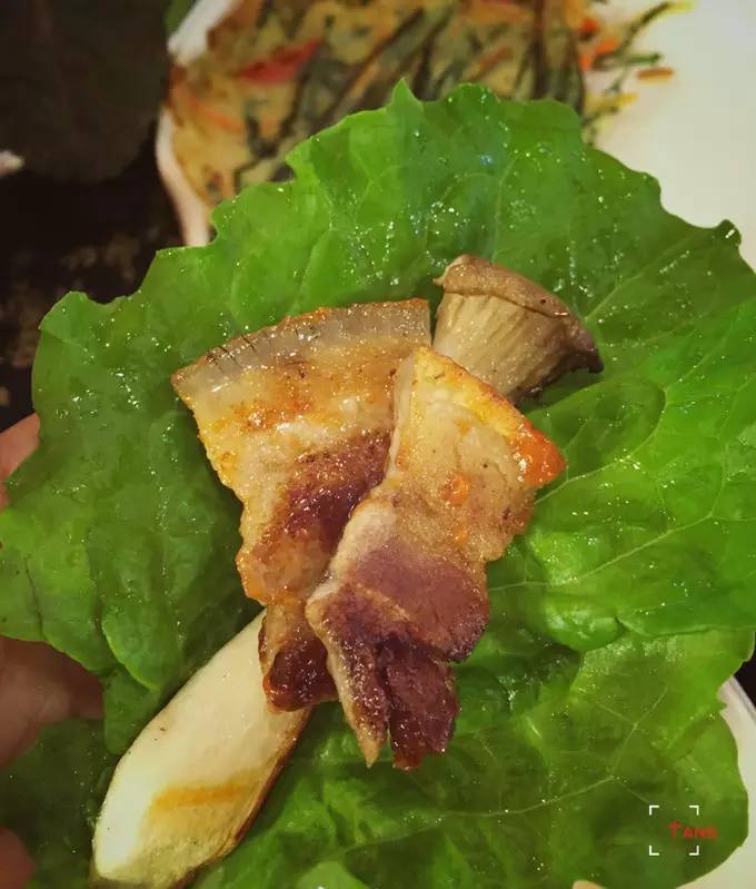 做一只治愈的猫,做一只快乐的柴犬