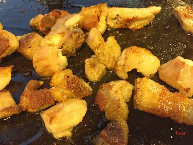 做一只治愈的猫,做一只快乐的柴犬