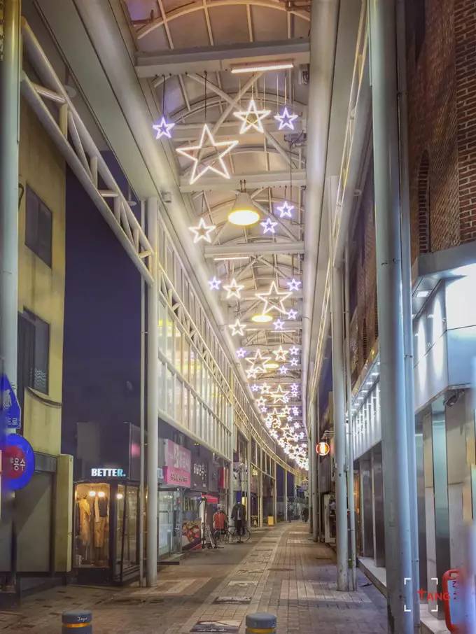 做一只治愈的猫,做一只快乐的柴犬