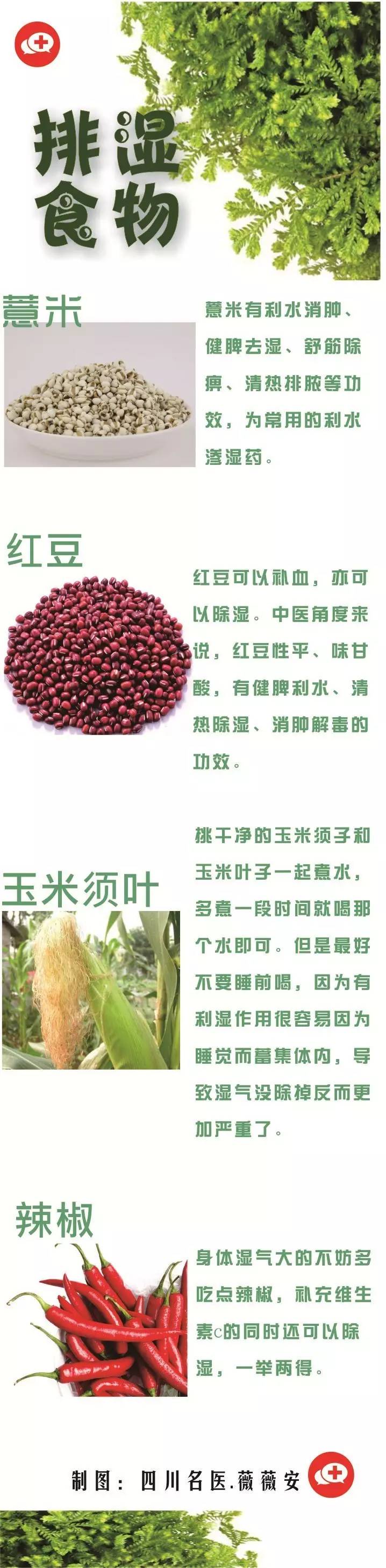 四川人湿气太重怎么办,四川人爱说辣椒湿气重