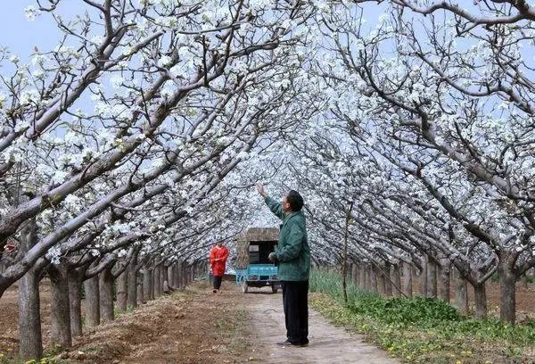 洛阳适合中学生好玩免费景点,洛阳各个景点的介绍