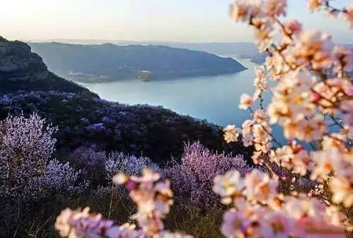 洛阳适合中学生好玩免费景点,洛阳各个景点的介绍