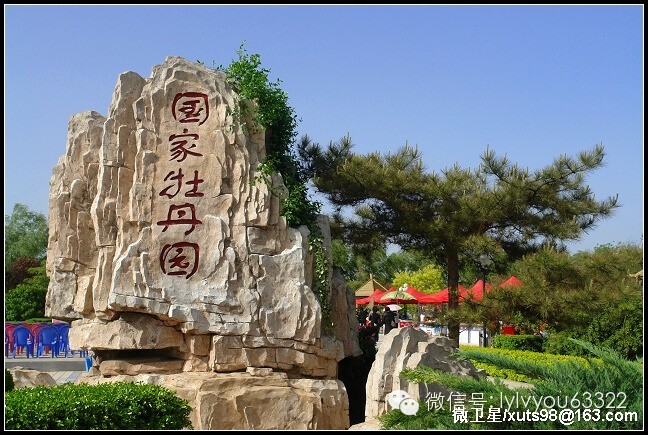 洛阳适合中学生好玩免费景点,洛阳各个景点的介绍