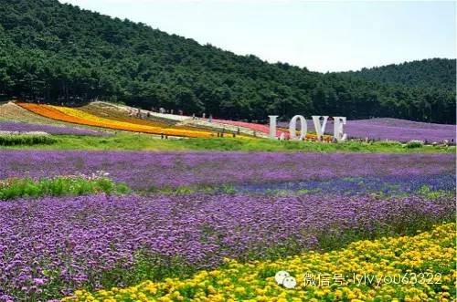 洛阳适合中学生好玩免费景点,洛阳各个景点的介绍