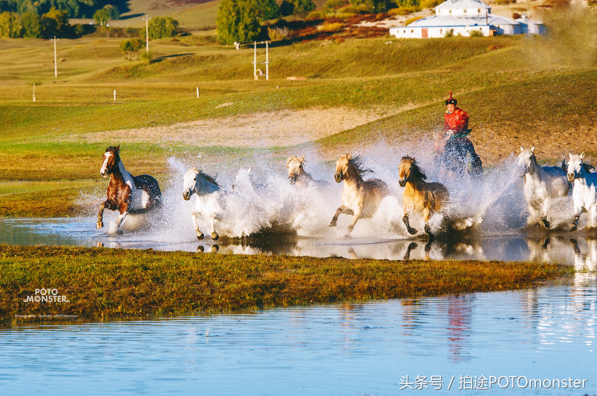 坝上草原奔马摄影作品,坝上草原拍奔马