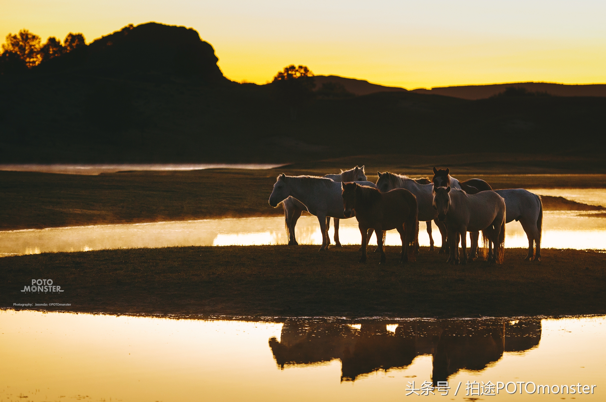 坝上草原奔马摄影作品,坝上草原拍奔马