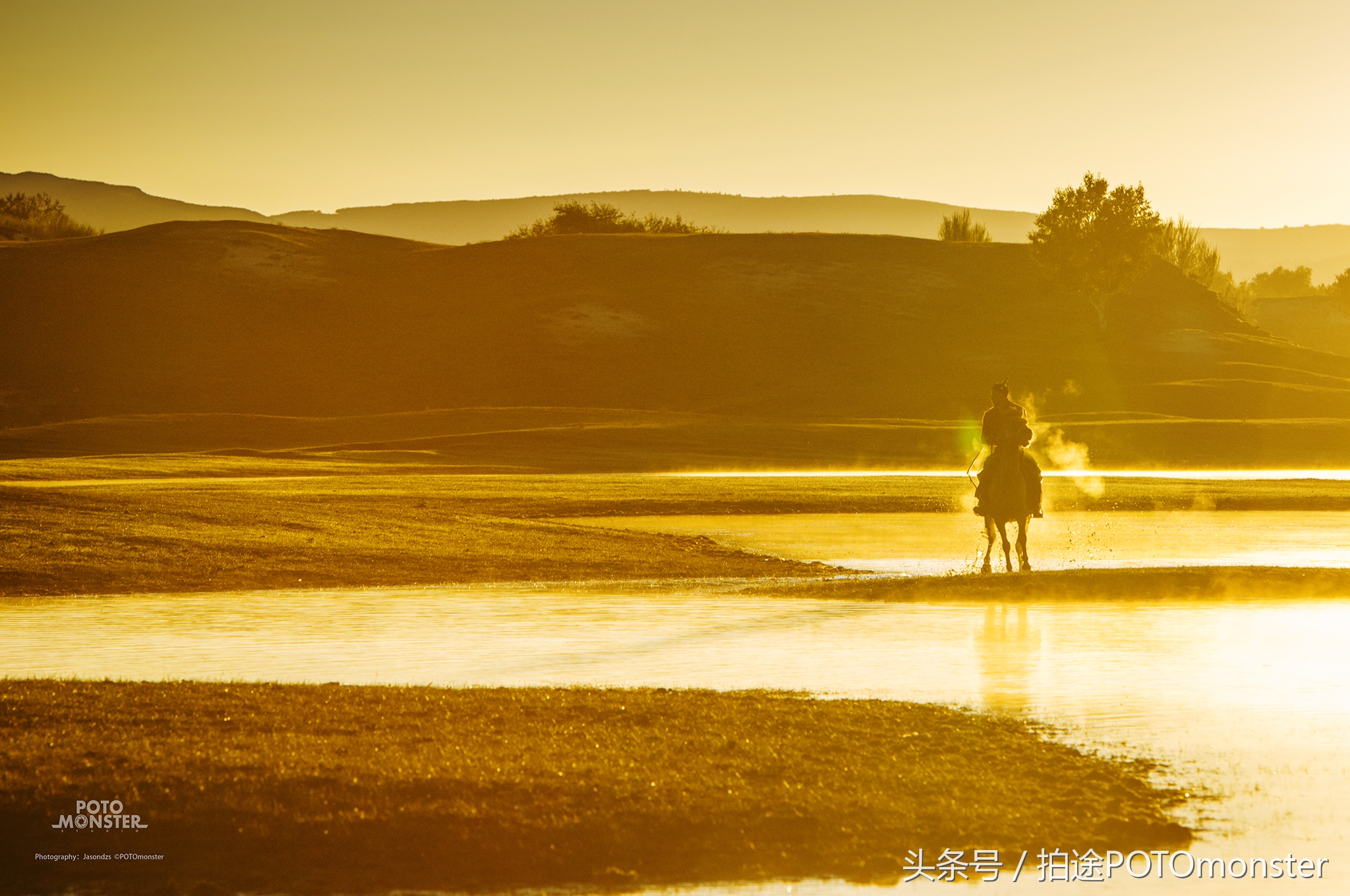 坝上草原奔马摄影作品,坝上草原拍奔马