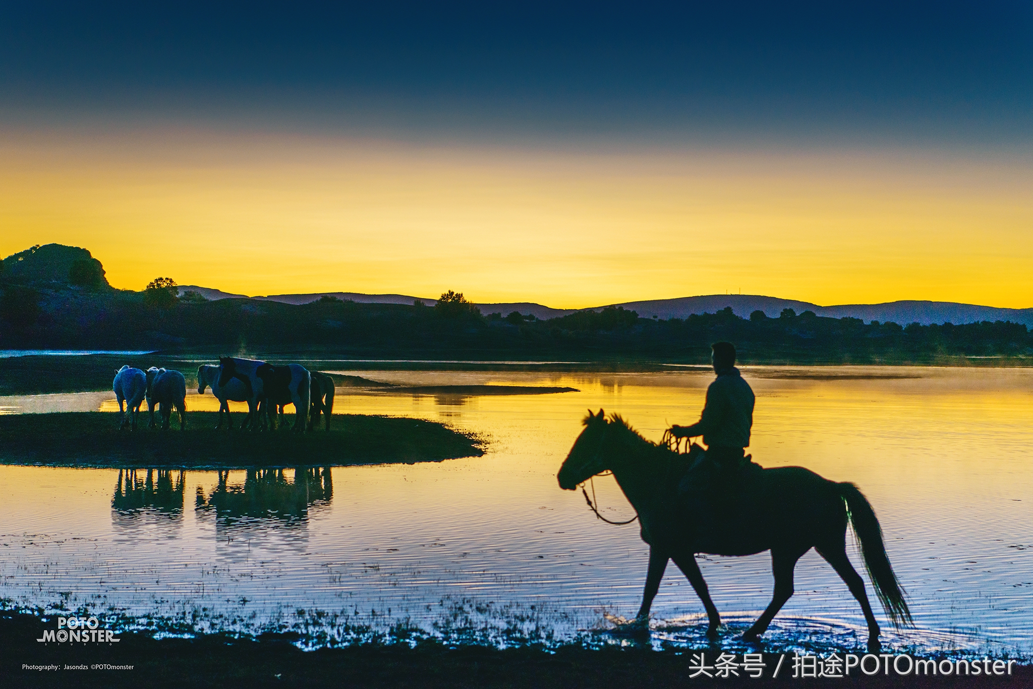 坝上草原奔马摄影作品,坝上草原拍奔马