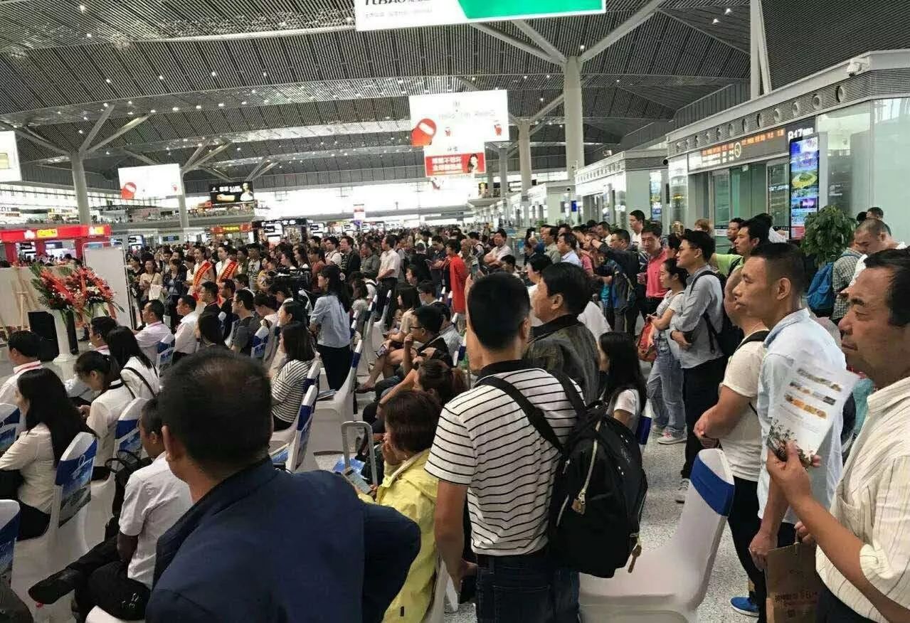 这个十一,这个十一为什么这么多雨