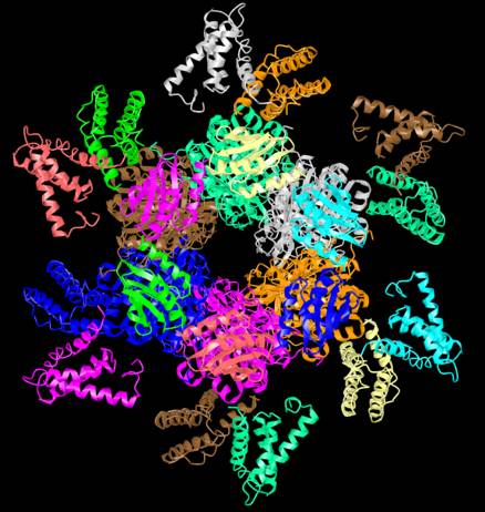 蓝绿细菌的生物钟，“另类”还是“先驱”？｜迷上生物钟（2）