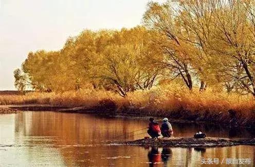 寒露这一天,寒露的前一天好不好