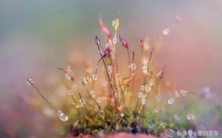 寒露这一天,寒露的前一天好不好