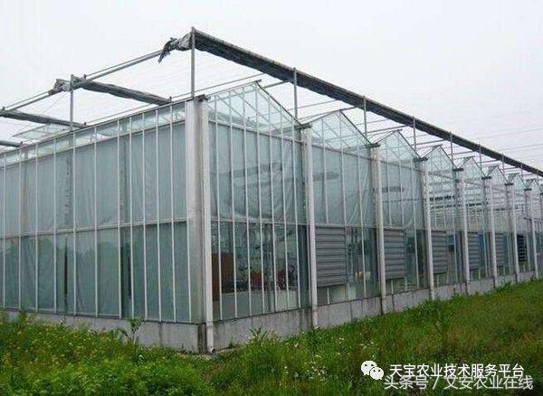 180米长14米宽温室大棚造价多少,温室大棚建造每平米价格